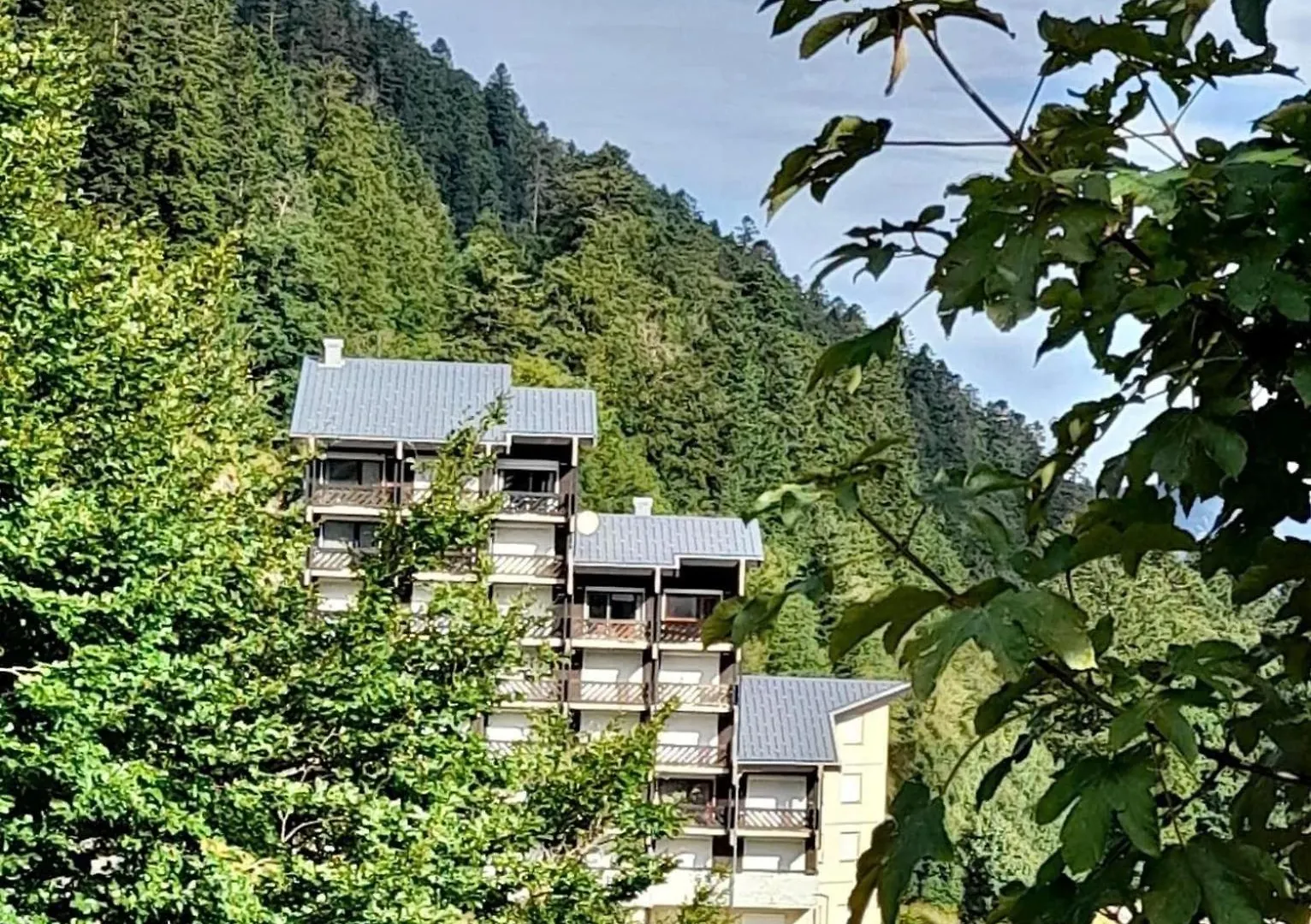 Appartement Au Coeur Du Col De Rousset Saint-Agnan-en-Vercors 0*,  France